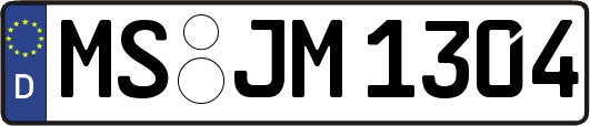 MS-JM1304
