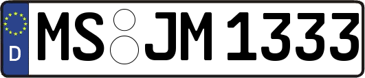MS-JM1333