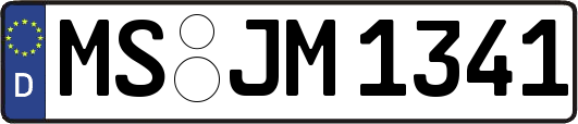 MS-JM1341