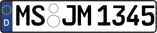MS-JM1345