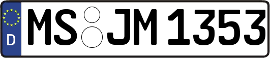 MS-JM1353