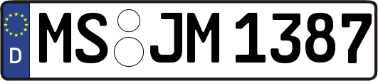 MS-JM1387