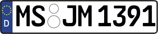 MS-JM1391