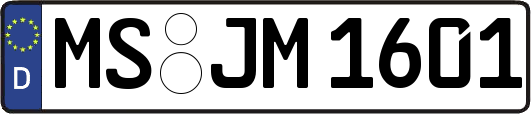 MS-JM1601