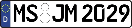 MS-JM2029