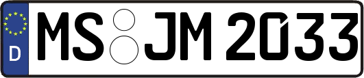 MS-JM2033