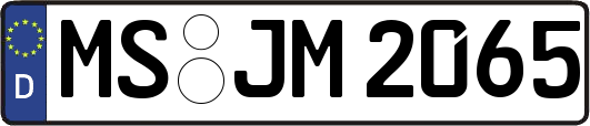 MS-JM2065