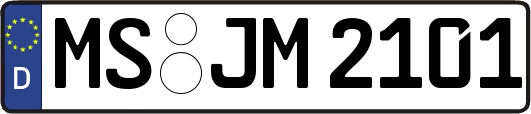 MS-JM2101