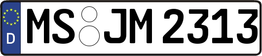 MS-JM2313