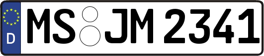 MS-JM2341