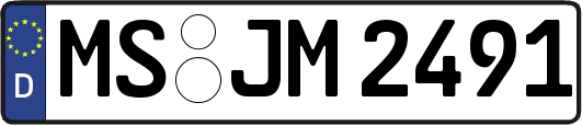 MS-JM2491
