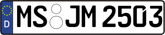 MS-JM2503
