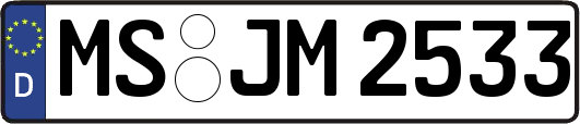 MS-JM2533