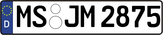 MS-JM2875