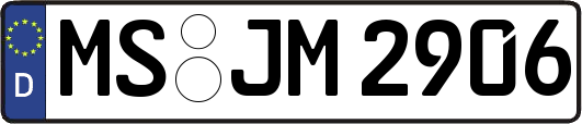 MS-JM2906