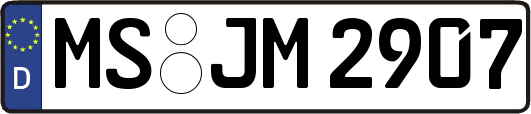 MS-JM2907