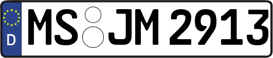 MS-JM2913