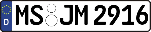 MS-JM2916