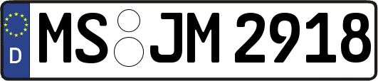 MS-JM2918