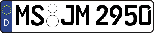 MS-JM2950