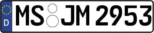 MS-JM2953