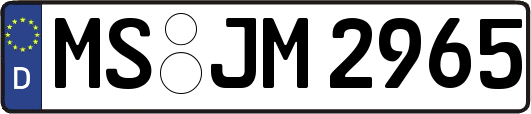 MS-JM2965