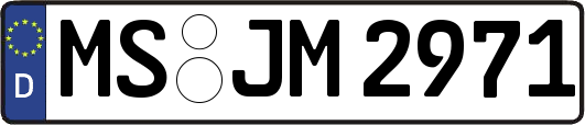 MS-JM2971