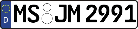 MS-JM2991