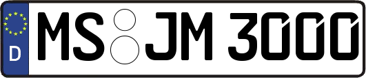 MS-JM3000