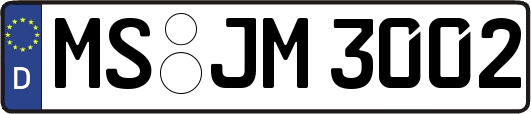 MS-JM3002