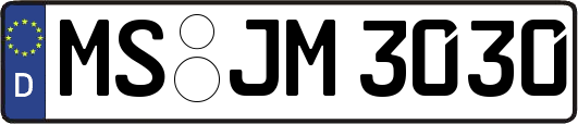 MS-JM3030