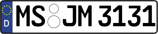 MS-JM3131