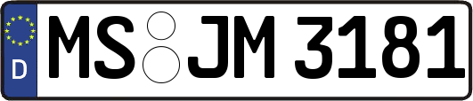 MS-JM3181