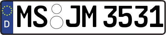 MS-JM3531