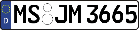MS-JM3665