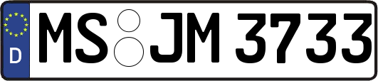 MS-JM3733