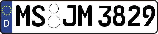 MS-JM3829