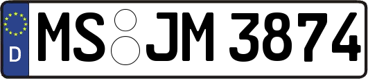 MS-JM3874
