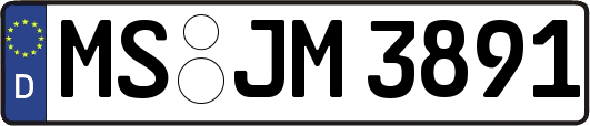 MS-JM3891