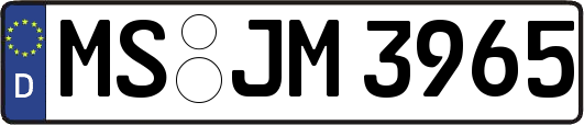 MS-JM3965