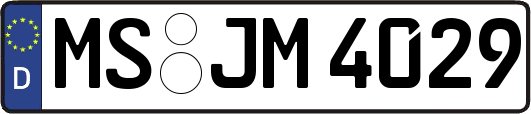 MS-JM4029