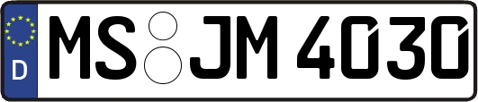 MS-JM4030