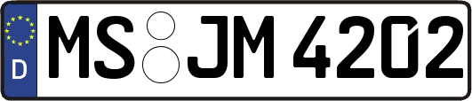 MS-JM4202