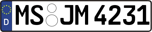 MS-JM4231