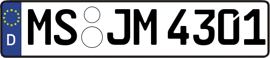 MS-JM4301
