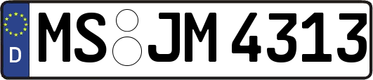 MS-JM4313
