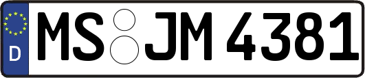 MS-JM4381