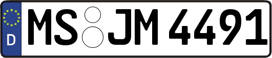 MS-JM4491