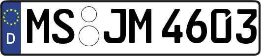MS-JM4603