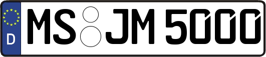 MS-JM5000